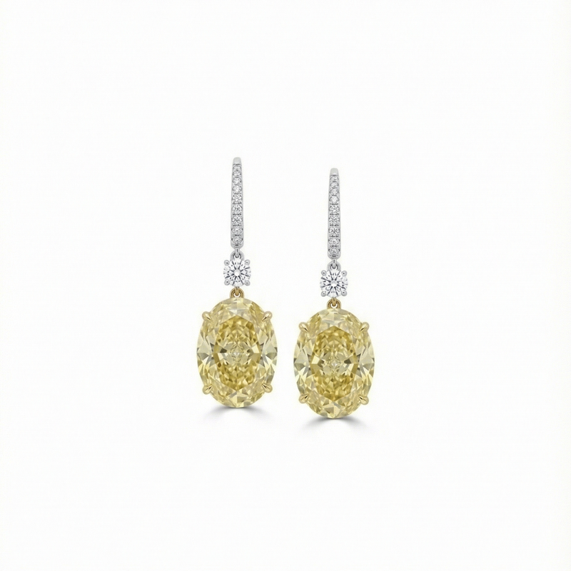 The Diamond Drop Hoop Earrings