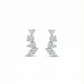 The Diamond Climbers