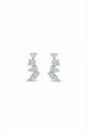 The Diamond Climbers