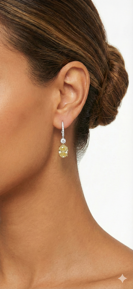 The Diamond Drop Hoop Earrings