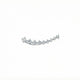 The Diamond Ear Climber