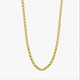 Dainty Rolo Chain Choker